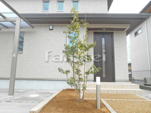 ����ܥ�ĥ꡼ ���襴 ���м� ���� ���إ���ȥ�󥹾��� TAKASHO�������硼 ����ץ�LED�ݡ���饤��12��