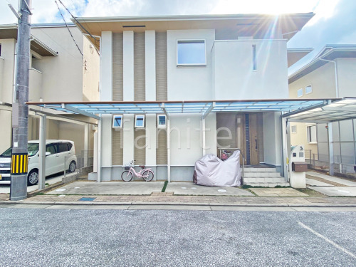 ������ ������(Ǯ�����)