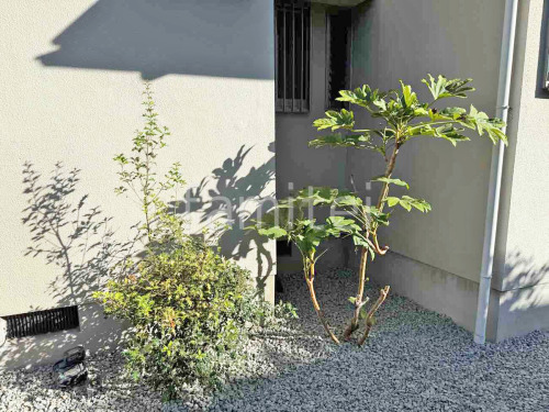 ���� �մ�������