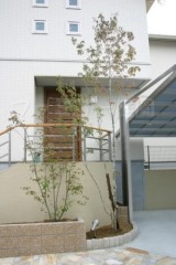 花壇　シンボルツリー