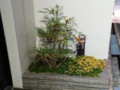 植栽 剪定
