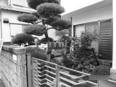 �ܹ���