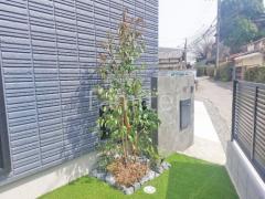 ��������� �ɥ�����Ž�� �������硼 �����Х�� ���ۥܥå��� ��˥��� ������DB100 ����ܥ�ĥ꡼