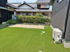 �͹��� ���𥷡��Ȳù� �襷�ߥ��ӿ� �ꥢ��͹��� 35mm 