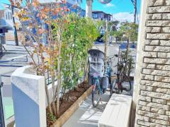 ���� �մ�������